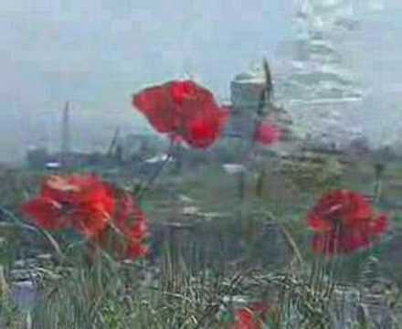 Cock Hungry Savages Most Liked Shortdude1619 Beautiful Ukraine
